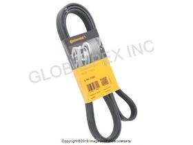 6k1930 Continental For Porsche 1997-2005 Belt 1 Year Warranty