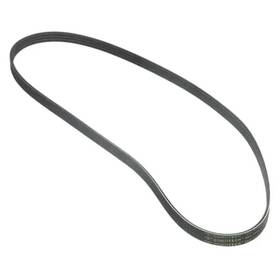 Continental Contitech 191334484786 For Ford Focus 2013-2018 4pk-0890 Serpentine Belt