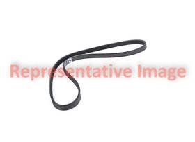 Continental Contitech 395k5mk For Freightliner Cascadia 16 Mileage Maker Serpentine Belt