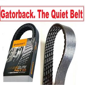 4050650 Continental Elite New Serpentine Belt Poly-v The Quiet Gatorback