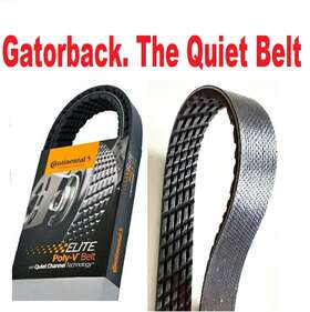 4050845 Continental Elite New Serpentine Belt Poly-v The Quiet Gatorback