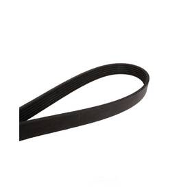 4060590 Continental Elite Serpentine Belt-multi-v