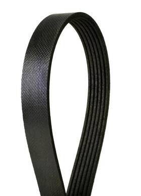 4061388 Continental Elite Serpentine Belt