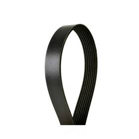 4070540 Continental Elite Serpentine Belt-multi-v Fits 07-10 Bmw X5 3.0l-l6