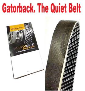 4070565 Continental Elite New Serpentine Belt Poly-v The Quiet Inch Gatorback