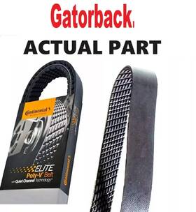 4080805 Continental Elite New Serpentine Belt Poly-v The Quiet Gatorback