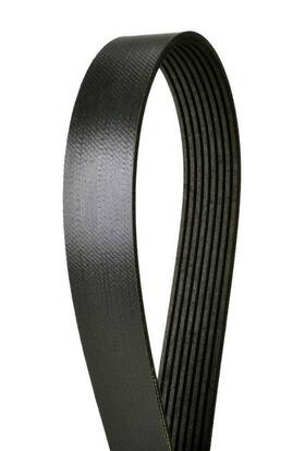 4081369 Continental Elite Serpentine Belt-multi-v Fits 2008 Ford E-450 Super Duty 6.0l-v8