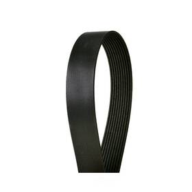 4100642fx Continental Elite Serpentine Belt-extreme Duty Multi-v