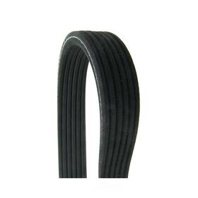 6dpk1825 Continental Elite Serpentine Belt-metric Line Dual-sided