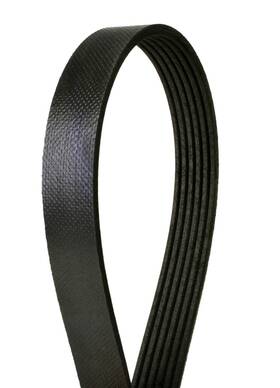 6k2223 Continental Elite Serpentine Belt-metric Line
