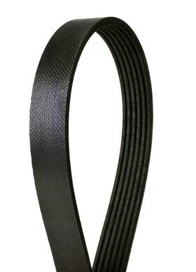 6k2260 Continental Elite Serpentine Belt-metric Line 6k2260 Continental Elite Serpentine Belt-metric Line