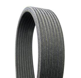 8dk1833 Continental Elite Serpentine Belt-metric Line Dual-sided