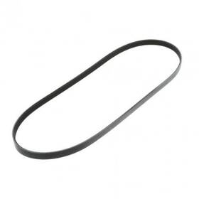 3063817 Cummins Serpentine Belt Genuine