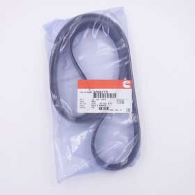 3034350 Cummins 3288779 V Ribbed Serpentine Belt