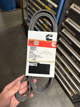 5690240 Cummins Oem V Ribbed Belts For 8pk1955