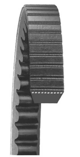 22405 Dayco 036687109149 Accessory Drive Belt