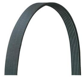 5040248dr Dayco 036687379443 Serpentine Belt