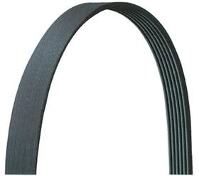 5050413dr Dayco 036687380135 Serpentine Belt