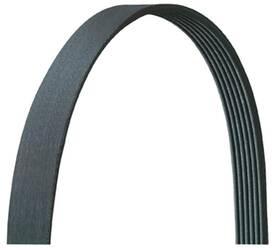 5060510dr Dayco 036687381415 Serpentine Belt