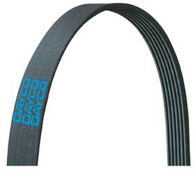 E040312 Dayco 036687830494 Serpentine Belt Poly Rib Ela