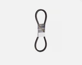 17715 Dayco 038244119561 - V Belt