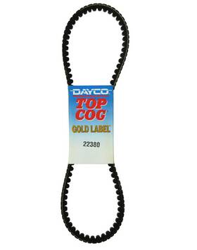 22380 Dayco 038244119844 Accessory Drive Belt