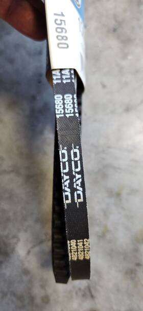 15680 Dayco Accessory Drive Belt-high Performance V-belt
