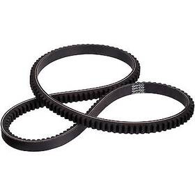 22410 Dayco V-belt