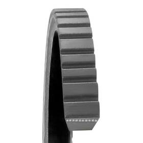 22475 Dayco For Toyota Land Cruiser 1981-1983 Top Cog Gold Label V-belt