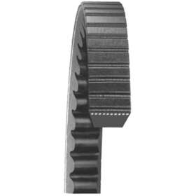 24490 Dayco Accessory Drive Belt