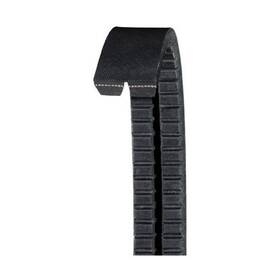 2b17550 Dayco V Belt 3 Ply Laminated Banded