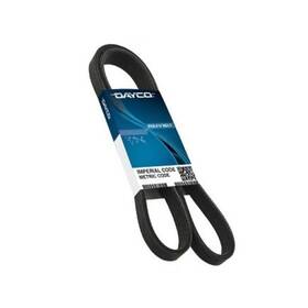 5030231 Dayco Poly Rib Belt