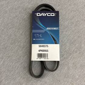 5040375 Dayco Serpentine Belt-natural