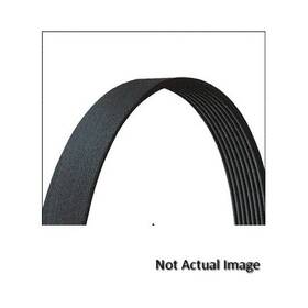 5040490dr Dayco V Ribbed Drive Rite Traditional