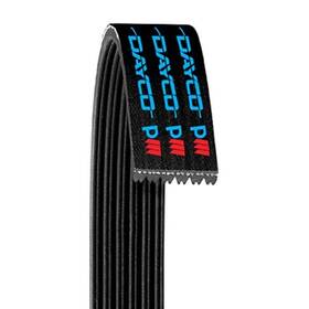 5060317 Dayco Poly Rib Serpentine Belt