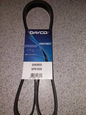 5060650 Dayco Serpentine Belt Poly V