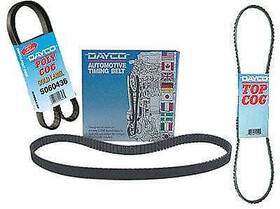 5060710 Dayco Polycog Belt
