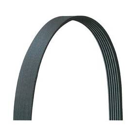 5060975dr Dayco V Ribbed Drive Rite Traditional