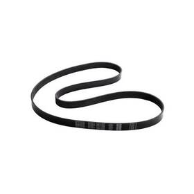 5070671 Dayco Poly Rib Belt