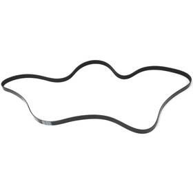 5070950 Dayco Drive Belt For Mitsubishi Montero 2001-2006