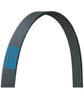 5080645 Dayco Serpentine Belt Heavy Duty Oem