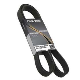 5080800 Dayco Serpentine Belt-cng For Ford Country Coach Freightliner
