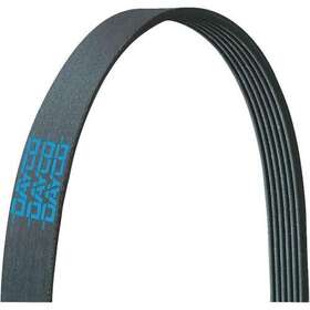 5080813 Dayco Serpentine Belt Poly Rib