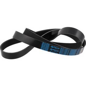 5080830sc Dayco V-ribbed Belt