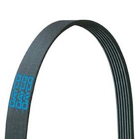 5120570 Dayco Gold Label Poly Rib Heavy Duty Belt