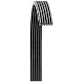 6060654 Dayco Poly Rib V-ribbed Belt