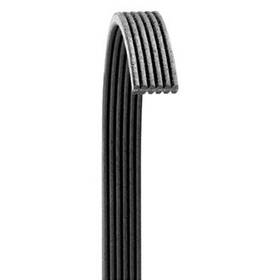 6080719 Dayco For Bmw X6 2008-2010 Gold Label Double Sided Poly Rib Belt