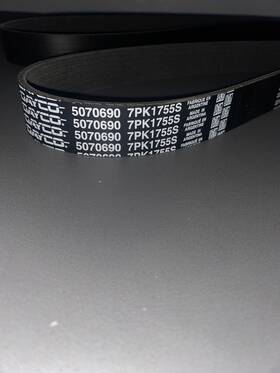 7pk1755s Dayco Belt
