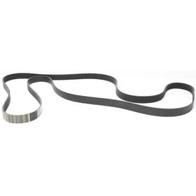 Bap5081223 Dayco Polyrib Drive Belt For Ford F250 F350 F450 F550 V8 Superduty International
