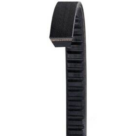 Bx42 Dayco Accessory Drive Belt